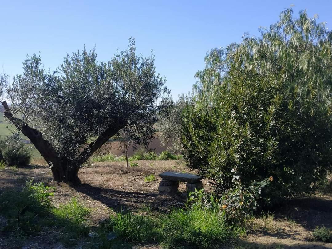 Masseria Baglio Perciata Camporeale 外观 照片